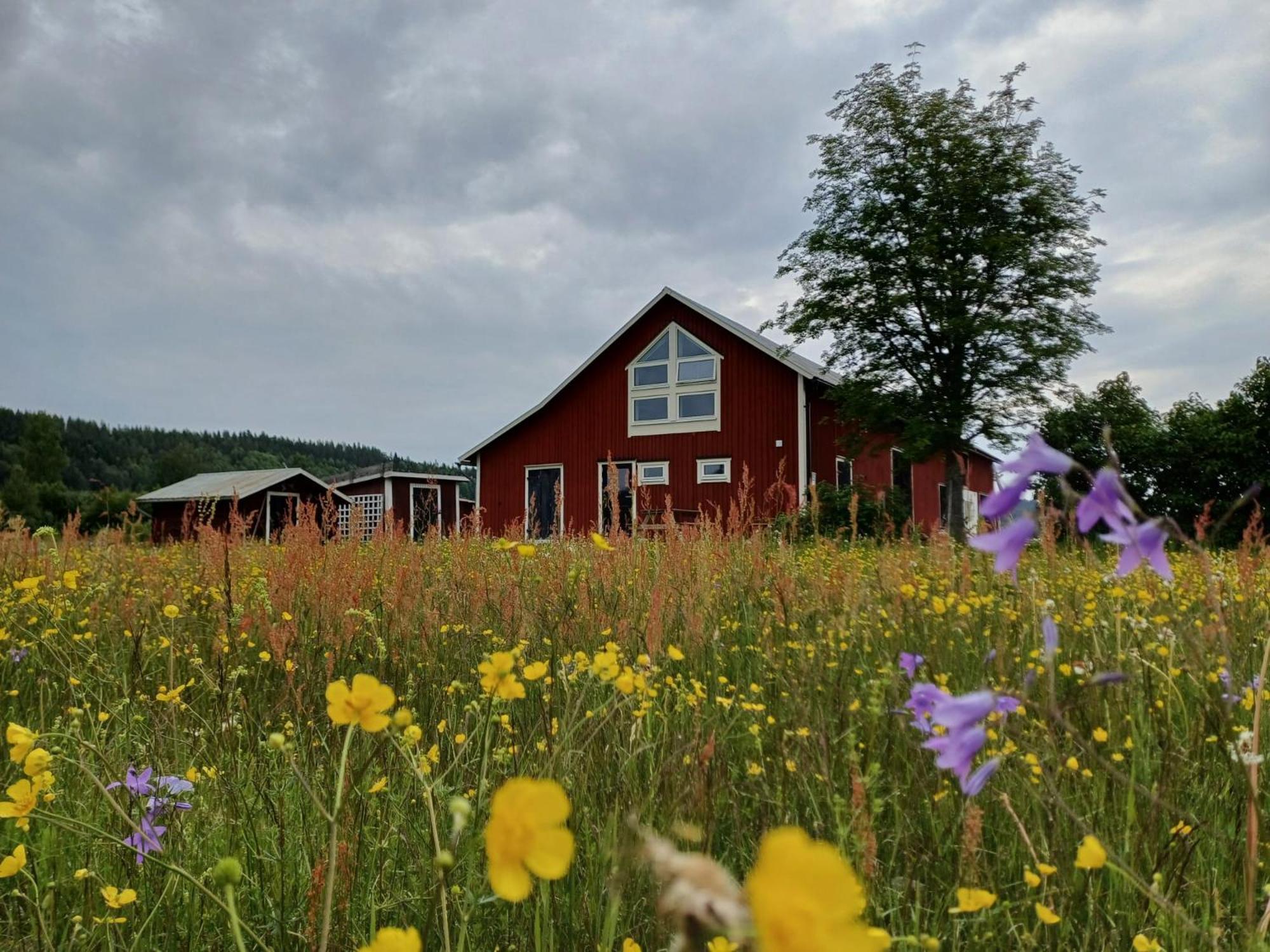 Ladansloft Lägenhet Stöllet Exteriör bild
