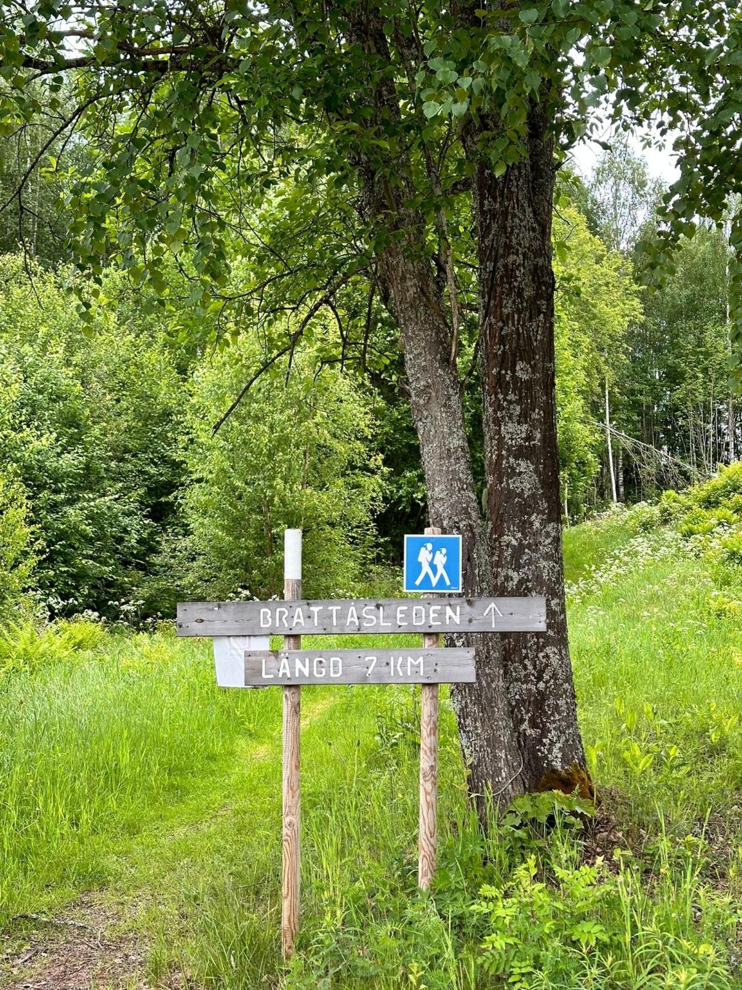 Ladansloft Lägenhet Stöllet Exteriör bild